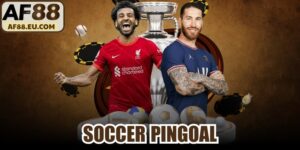 Soccer Pingoal